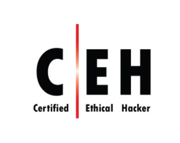 Certified Ethical Hacker Training Course (CEH) (DISA)